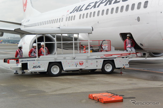 JAL ひなまつりフライト