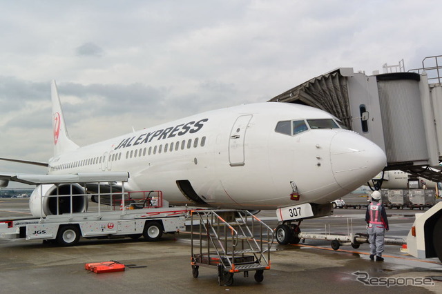 JAL ひなまつりフライト