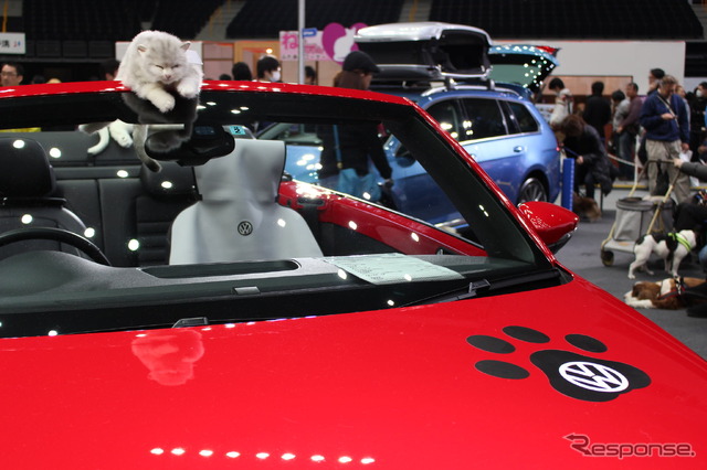 VWブース(わいわいペットショー2014)