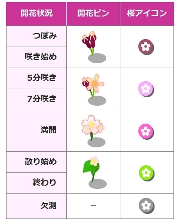 地図でのピン表示