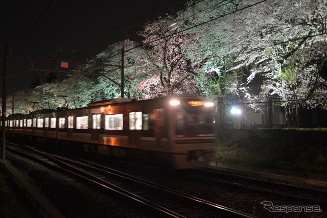 新京成線元山~くぬぎ山間で見られる陸自松戸駐屯地の桜並木。4月1~8日にライトアップが行われる。