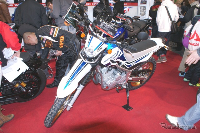 SEROW250