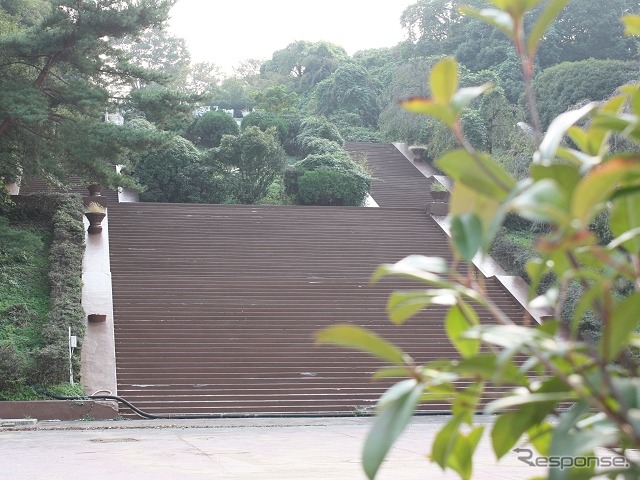 向ヶ丘遊園の象徴的な存在だった「花の大階段」(閉園から9年後の2011年撮影)。住宅や庭園などを整備する基本計画が2010年にまとめられたが、工事費の高騰などから計画を見直すことが決まった。
