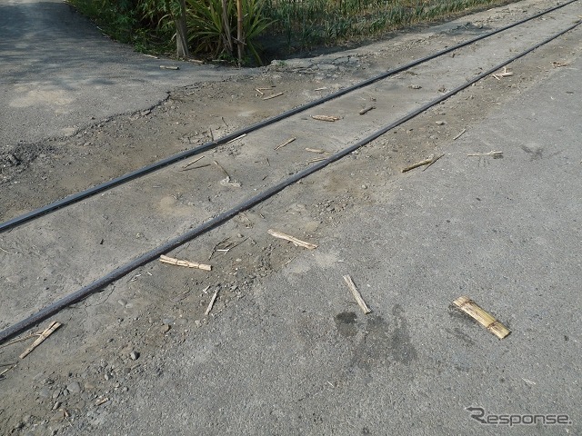 サトウキビ列車を追うようにして線路沿いを道路を歩いていく。レールの脇には貨車からこぼれおちたのか、サトウキビの茎がちらばっていた。