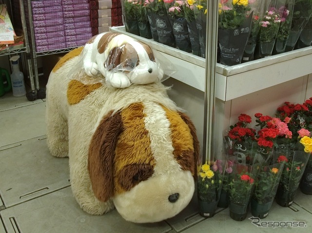 ハイ次の愛犬ヨーゼフ