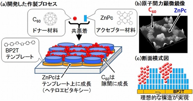 プロセスの詳細と作製した発電層の構造