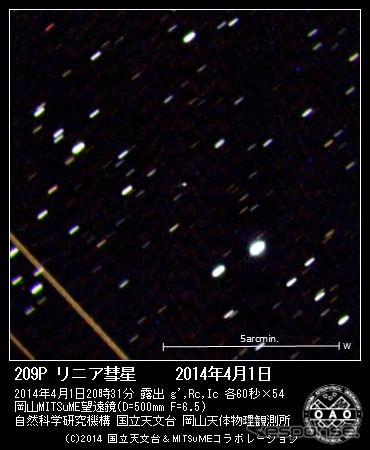 岡山天体物理観測所50cmMITSuME望遠鏡で撮影した209Pリニア彗星の画像を彗星ギャラリーで公開(出典:国立天文台)