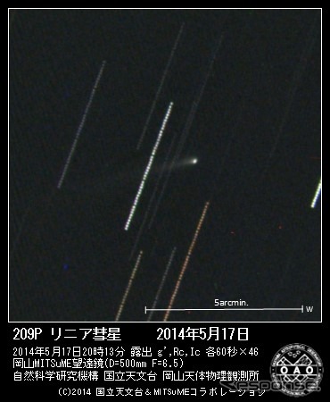 岡山天体物理観測所50cmMITSuME望遠鏡で撮影した209Pリニア彗星の画像を彗星ギャラリーで公開(出典:国立天文台)