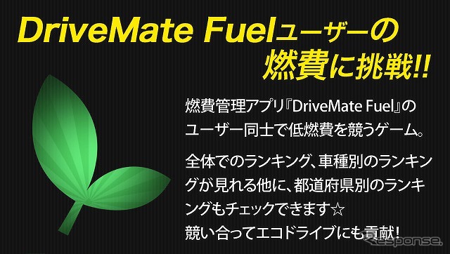 ナンバープレートコレクション