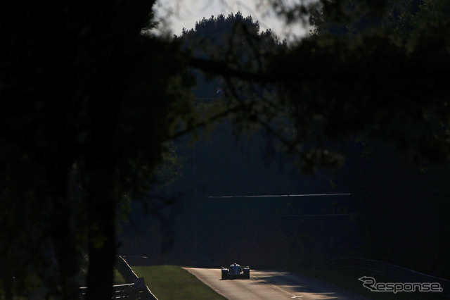 ルマン24時間耐久レース 2014