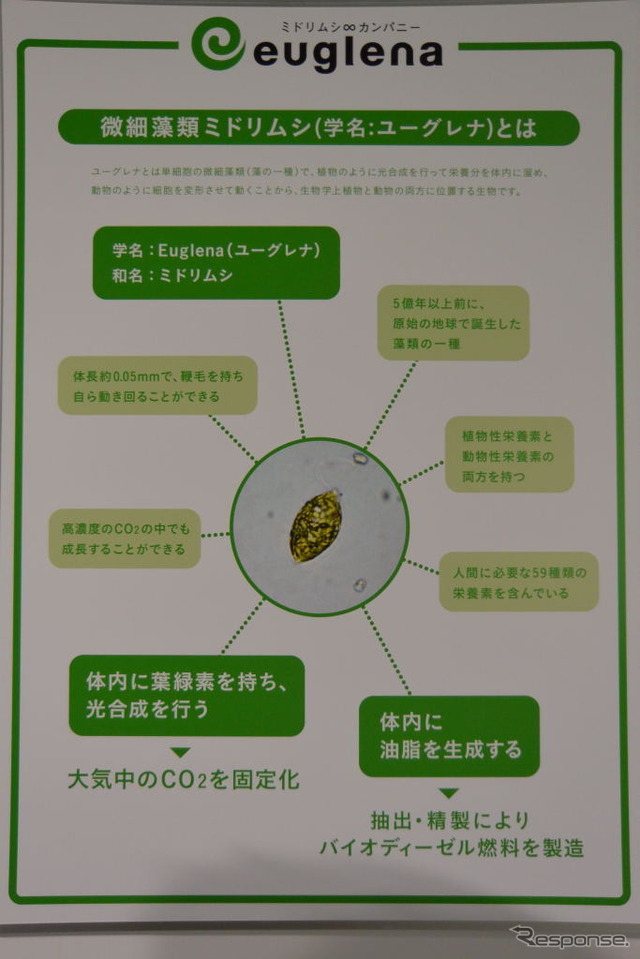 いすゞ、ユーグレナ 共同会見