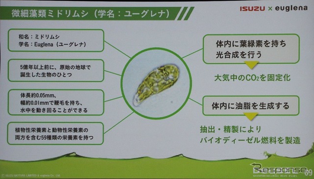 いすゞとユーグレナで次世代バイオ燃料の開発