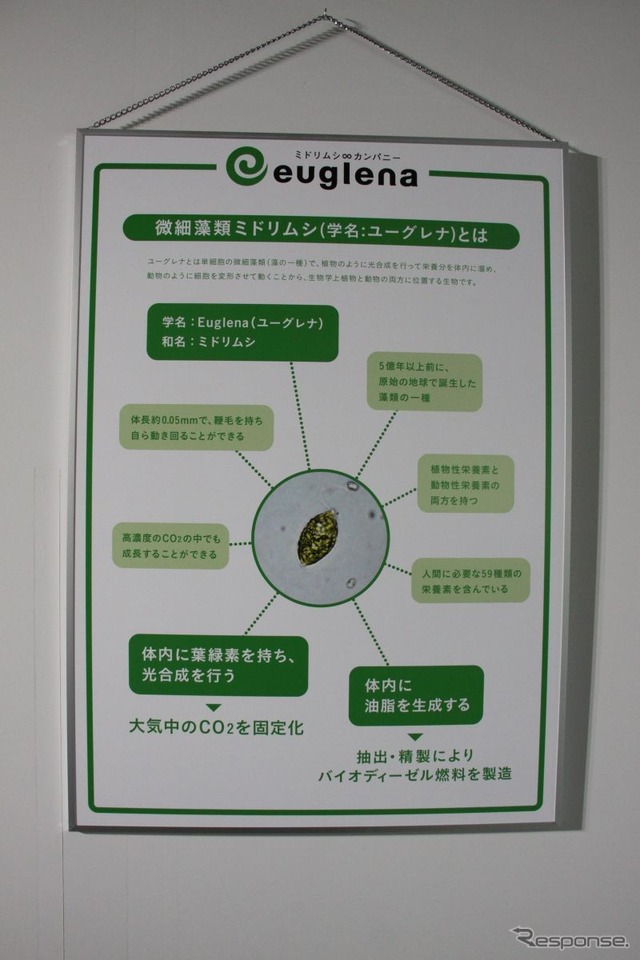 実用化すれば画期的な100％ミドリムシ由来ディーゼル燃料