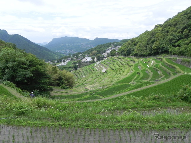 小豆島の中山千枚田