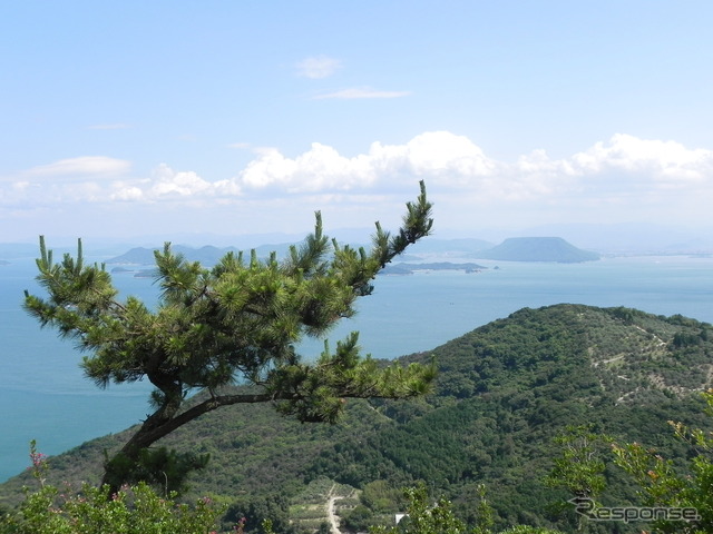 豊島頂上付近