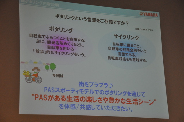 ヤマハ PAS Brace XL