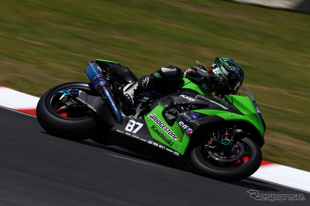 コカ・コーラ ゼロ 鈴鹿8時間耐久ロードレース(鈴鹿8耐) 2014年(写真は予選)