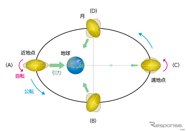 地球の引力による月の変形の模式図