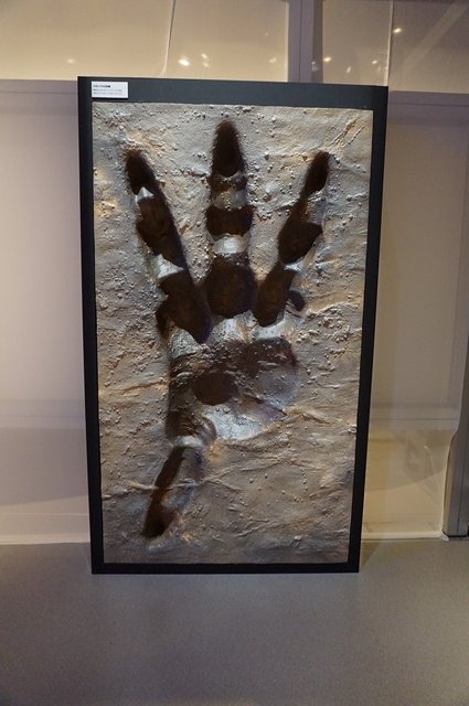 「モンスターハンター展」の内部に潜入!初代『MH』構想時の資料やUSJによる造形物などがビッシリ!