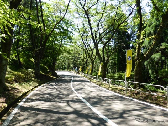 会場までのルートは涼しげに見えるが・・