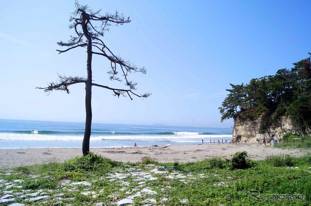 宮城県 七ヶ浜地区