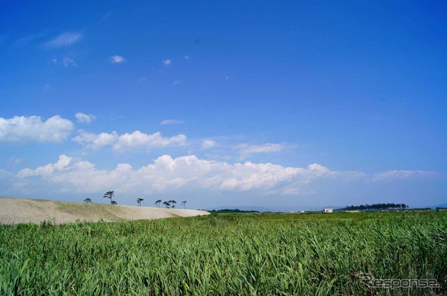宮城県 矢本地区