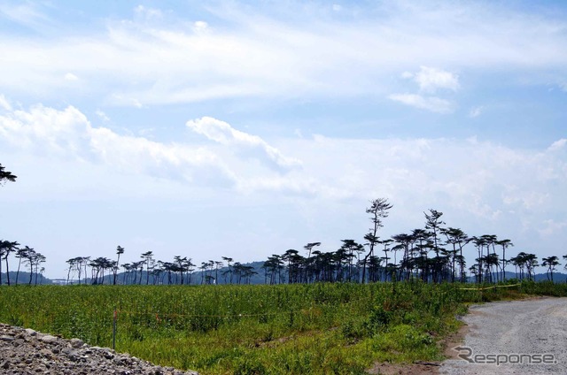 宮城県 矢本地区