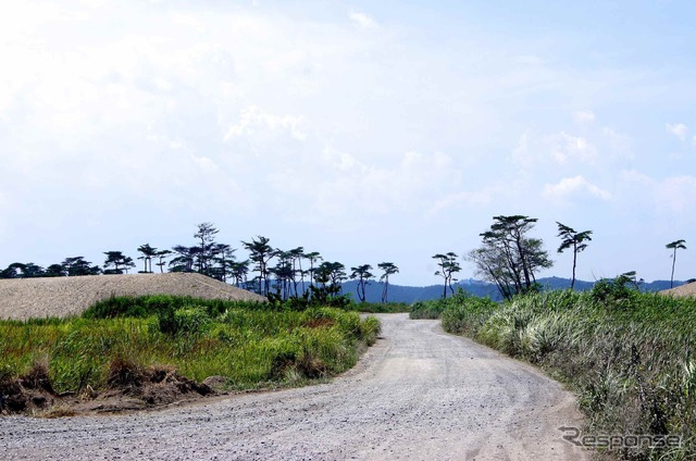 宮城県 矢本地区