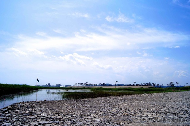 宮城県 矢本地区