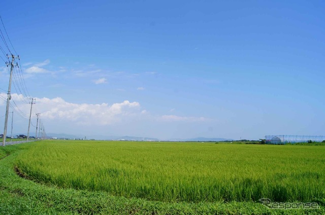宮城県 矢本地区