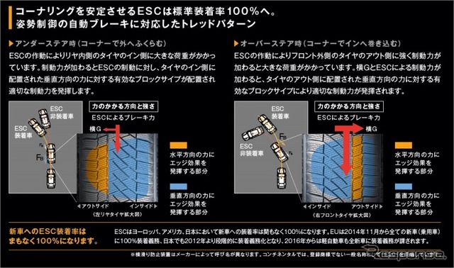 コンチ バイキング コンタクト6