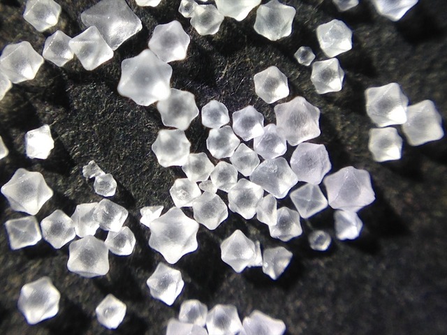 夏休み自由研究に困ってる方必見!? スマホが顕微鏡に