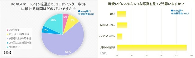 PCやスマートフォンを通じて、1日にインターネットに触れる時間はどのくらいですか？／可愛いドレスやキレイな写真を見てどう思いますか？