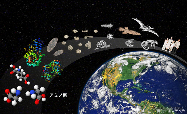 宇宙の生命素材物質の形成過程を解明（出典：国立天文台）