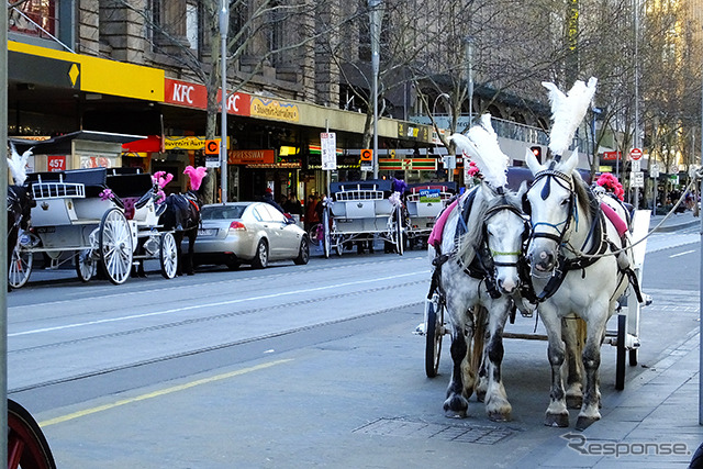 フリンダースストリート駅前、Swanston Stで出会った観光馬車。30分乗って料金は日本円で1万円ほど。