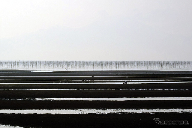 有明海がつくる御輿来海岸(砂干潟)が国道から見えた
