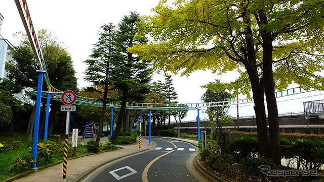 交通標識も学べる今井児童交通公園。木の葉が色づいてきた