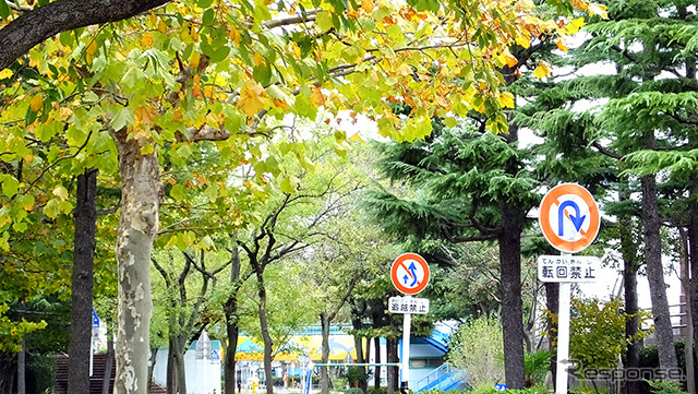 交通標識も学べる今井児童交通公園。木の葉が色づいてきた