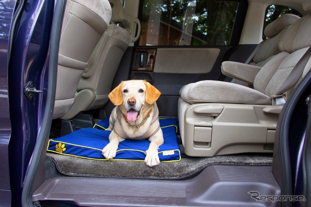 ペットフロアクッション(Honda Dogシリーズ )