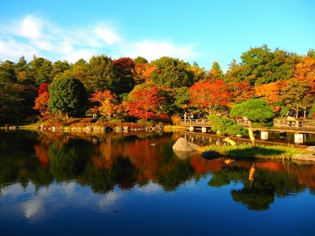今週の土曜日に紅葉狩りはいかが? ウェザーニューズ、第三回紅葉見頃予想