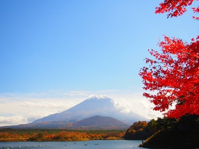 今週の土曜日に紅葉狩りはいかが? ウェザーニューズ、第三回紅葉見頃予想