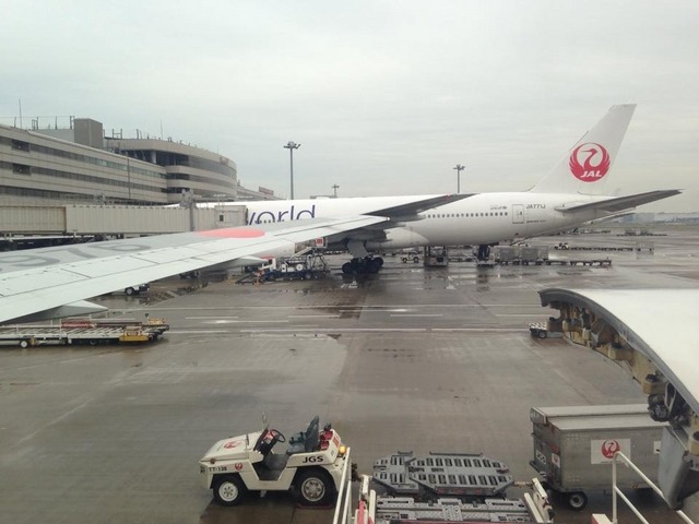 Wi-Fiが使える航空機は、機体上部中央に取り付けられている白いドーム状の衛星アンテナがある。