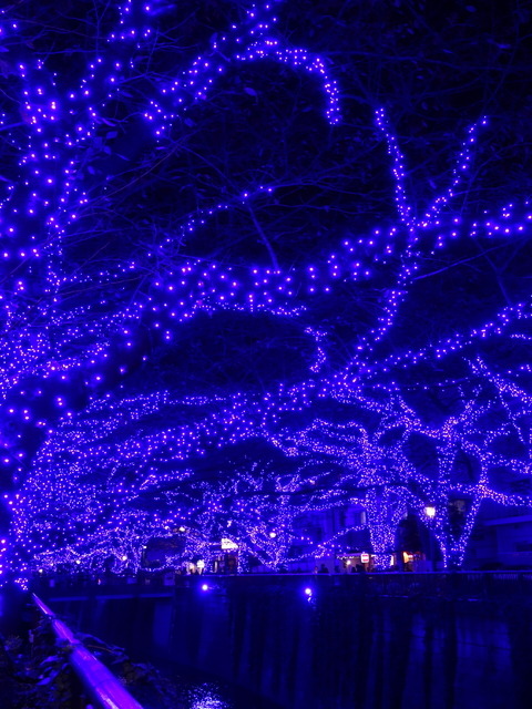 目黒川が「青の洞窟」に! 新たなイルミネーションイベントがスタート