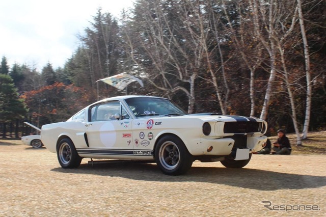 シェルビーコブラ350GT