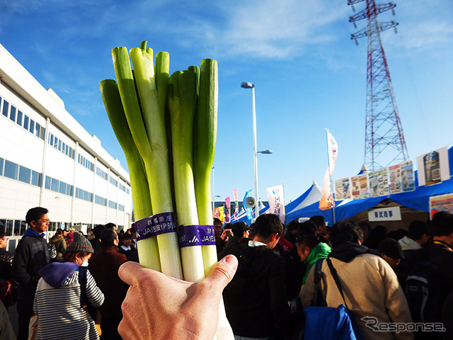 ネギ2束を100円でゲット!(2014 東武ファンフェスタ)