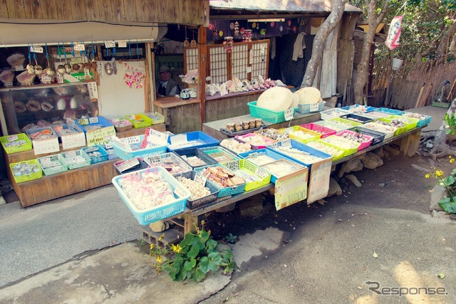 スバル レヴォーグ で走る“未知の道” in 高知