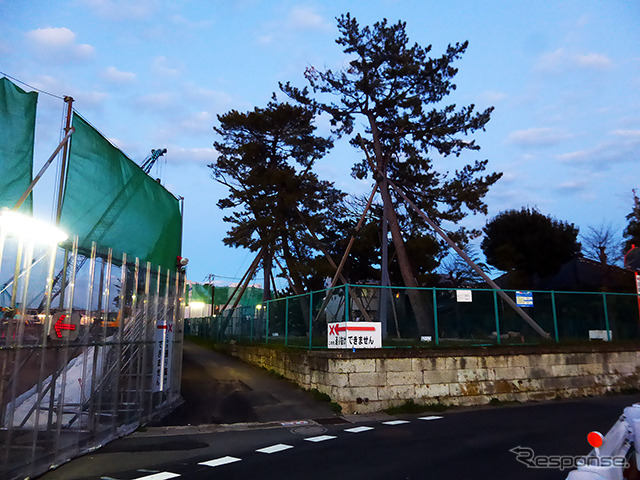 外環道工事がすすむ市川市平田地区。松の木を守る対策が施されている