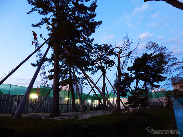 外環道工事がすすむ市川市平田地区。松の木を守る対策が施されている