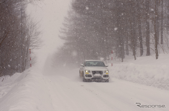 ダンロップ WINTER MAXX 試乗