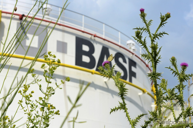 BASF